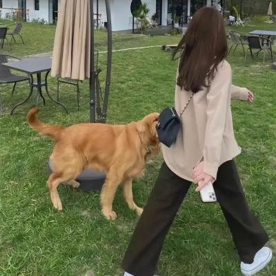 异象